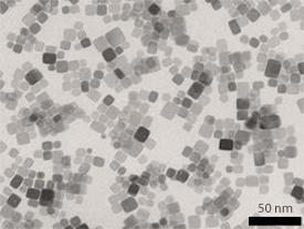 Transmission electron microscopy image of 10 nm-wide CeO2 nanocubes